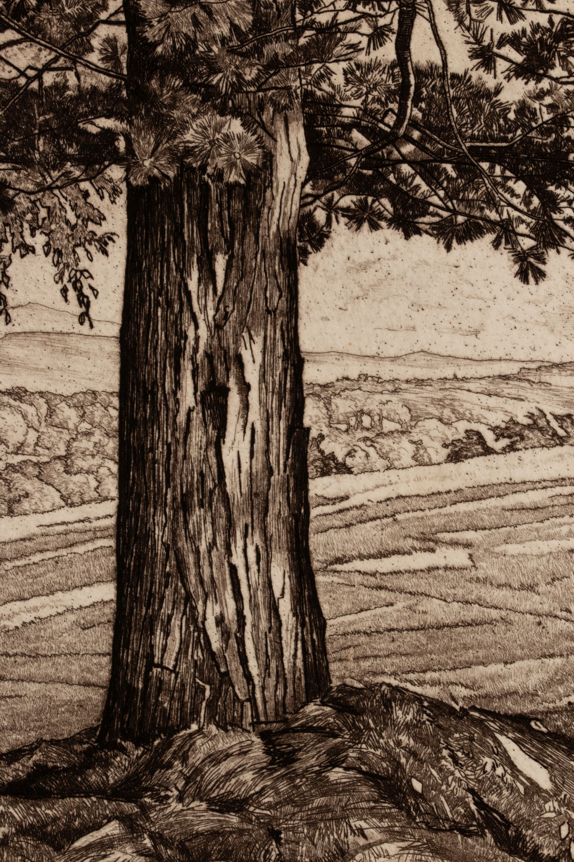 LUIGI LICIONI (1900-1988) PENCIL SIGNED ETCHINGS (2)