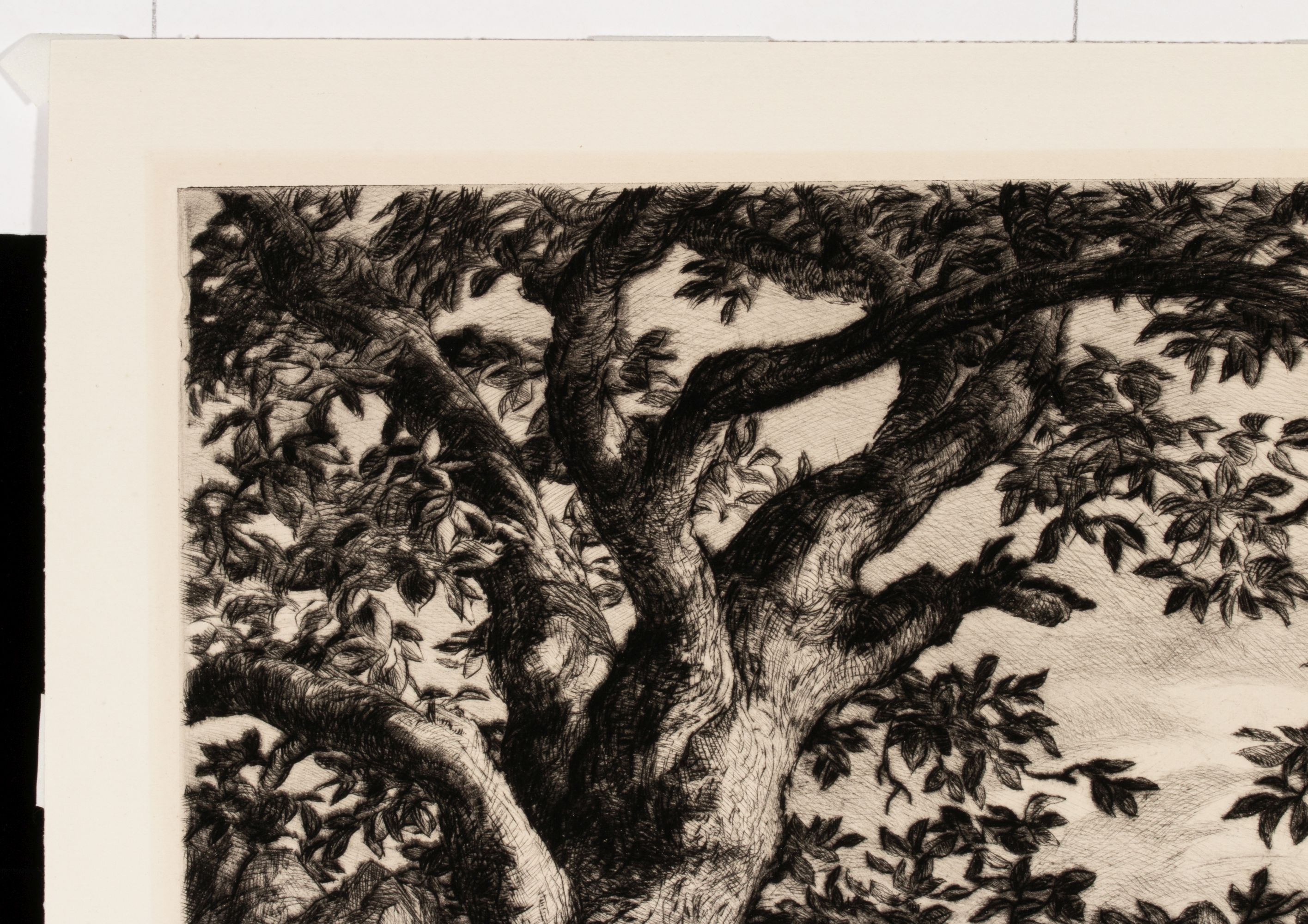 SAMUEL THAL (1903-1964) PENCIL SIGNED AAA LITHOGRAPH