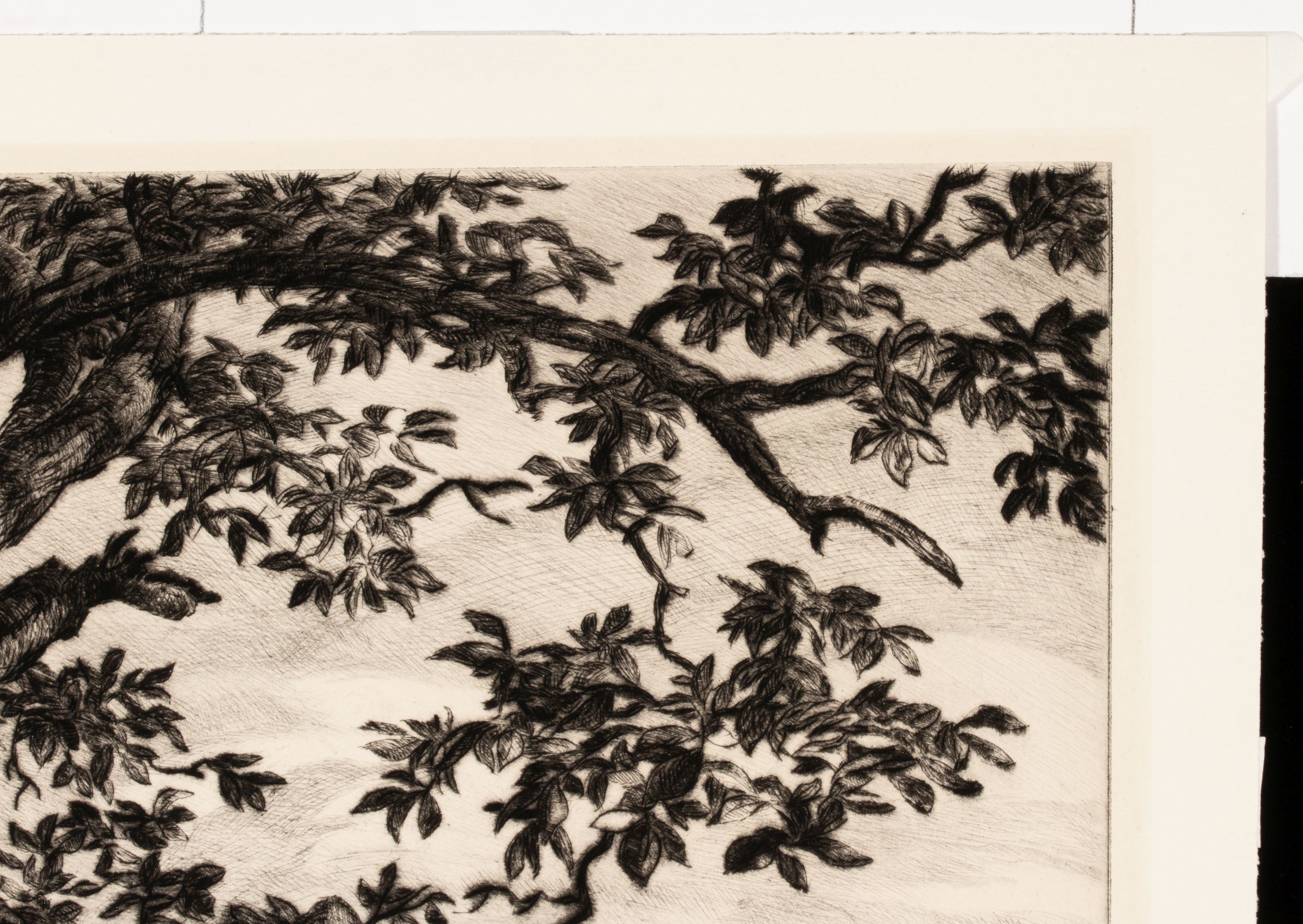 SAMUEL THAL (1903-1964) PENCIL SIGNED AAA LITHOGRAPH