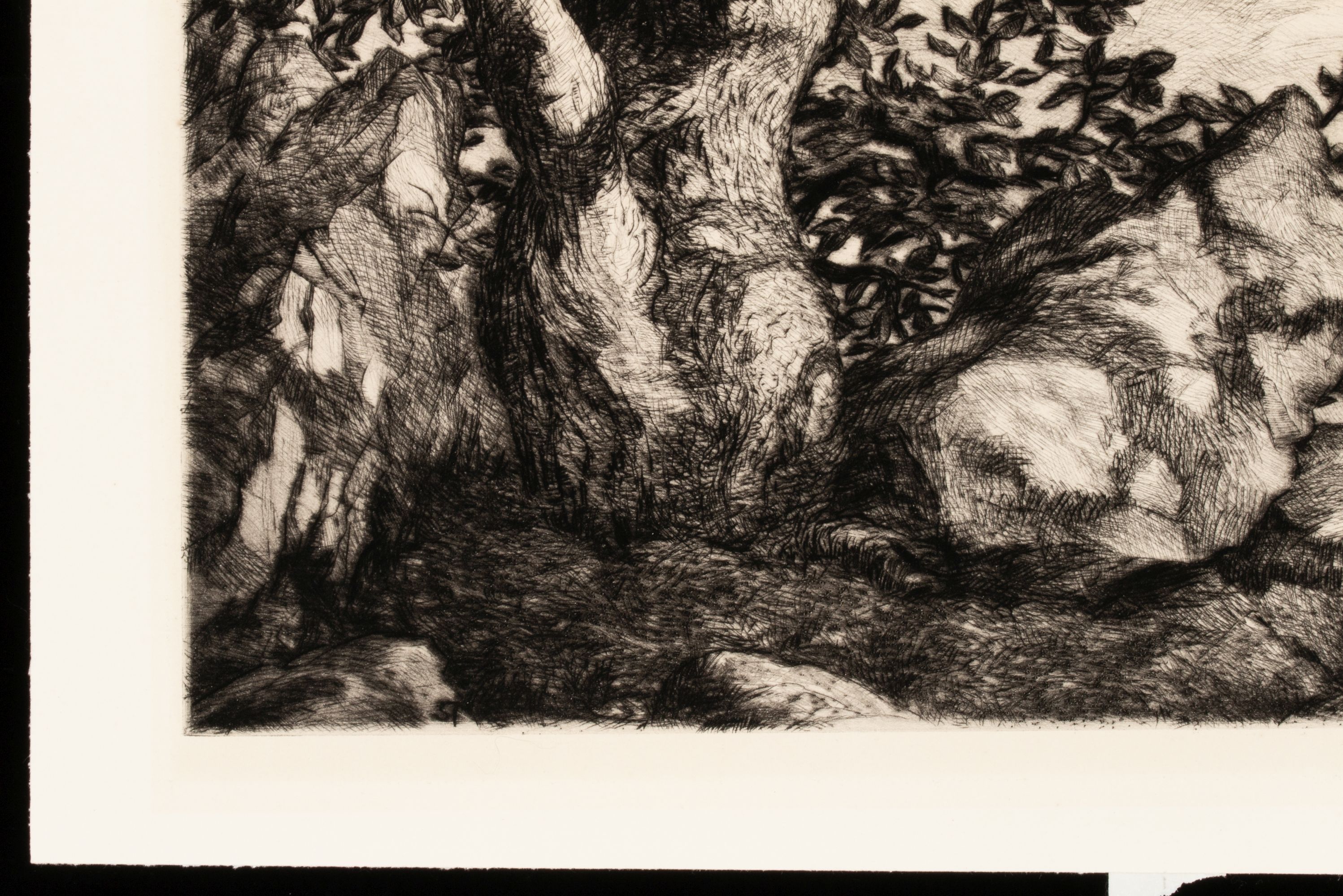 SAMUEL THAL (1903-1964) PENCIL SIGNED AAA LITHOGRAPH