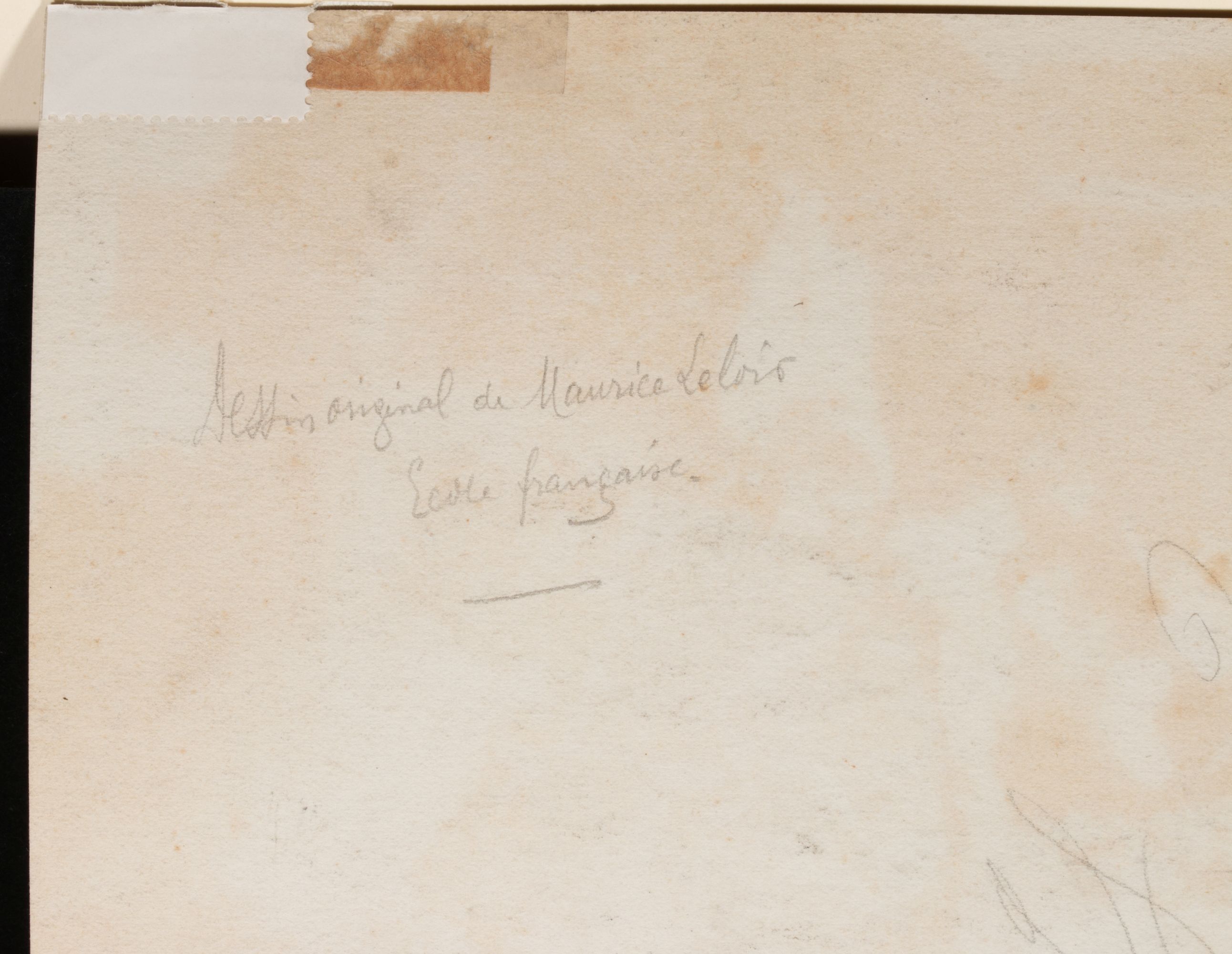 ORIGINAL ILLUSTRATIONS BY M. LELOIR AND W. TILLY