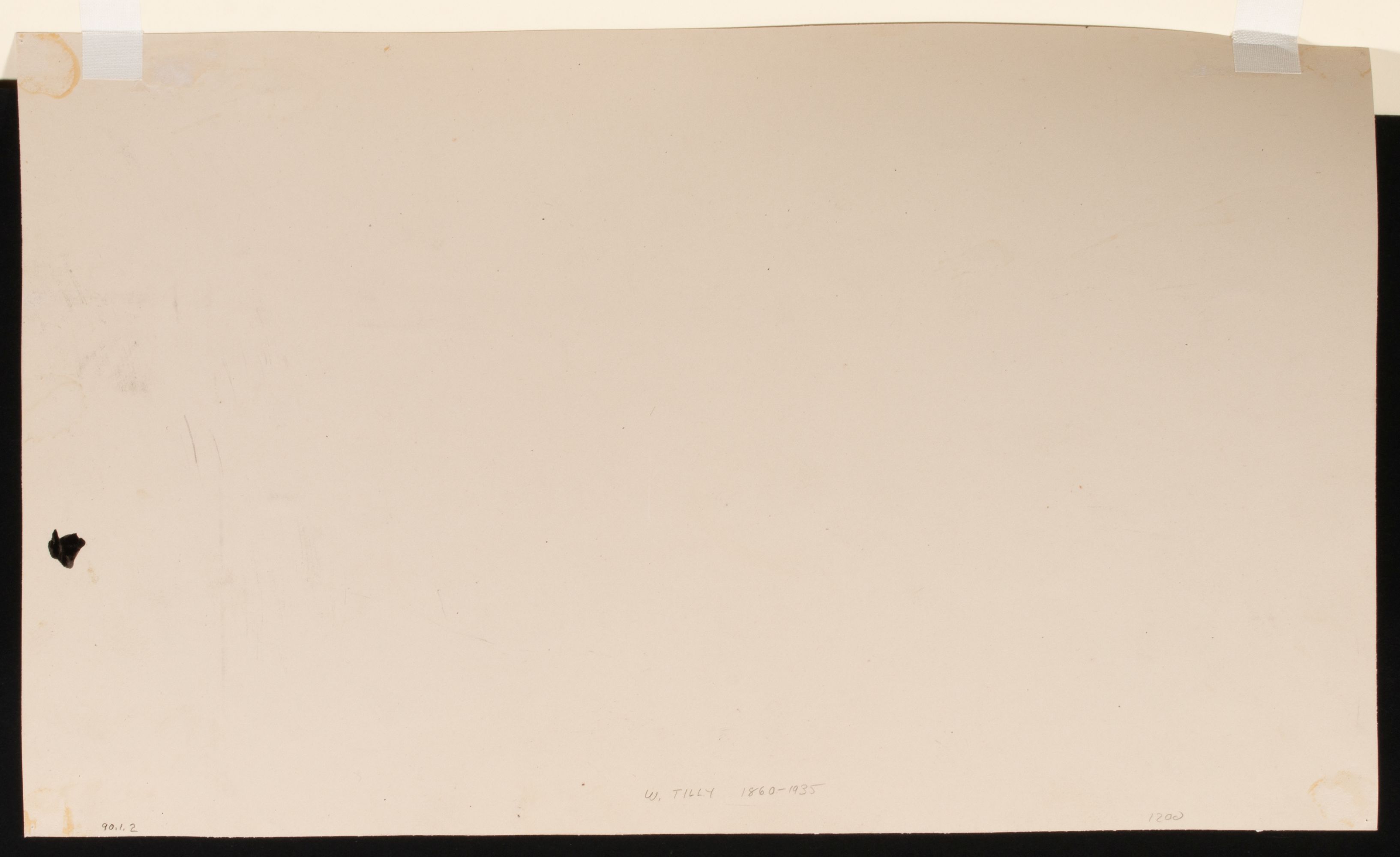 ORIGINAL ILLUSTRATIONS BY M. LELOIR AND W. TILLY