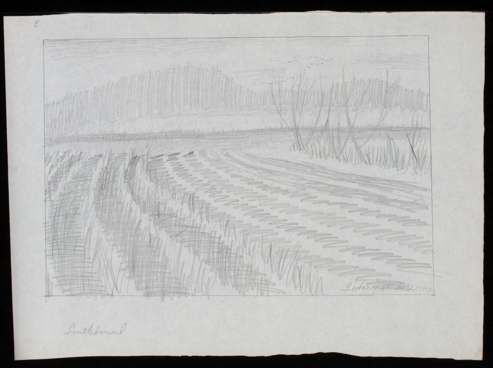 SIDNEY MOORE (1908-1991) SEVENTEEN GRAPHITE STUDIES