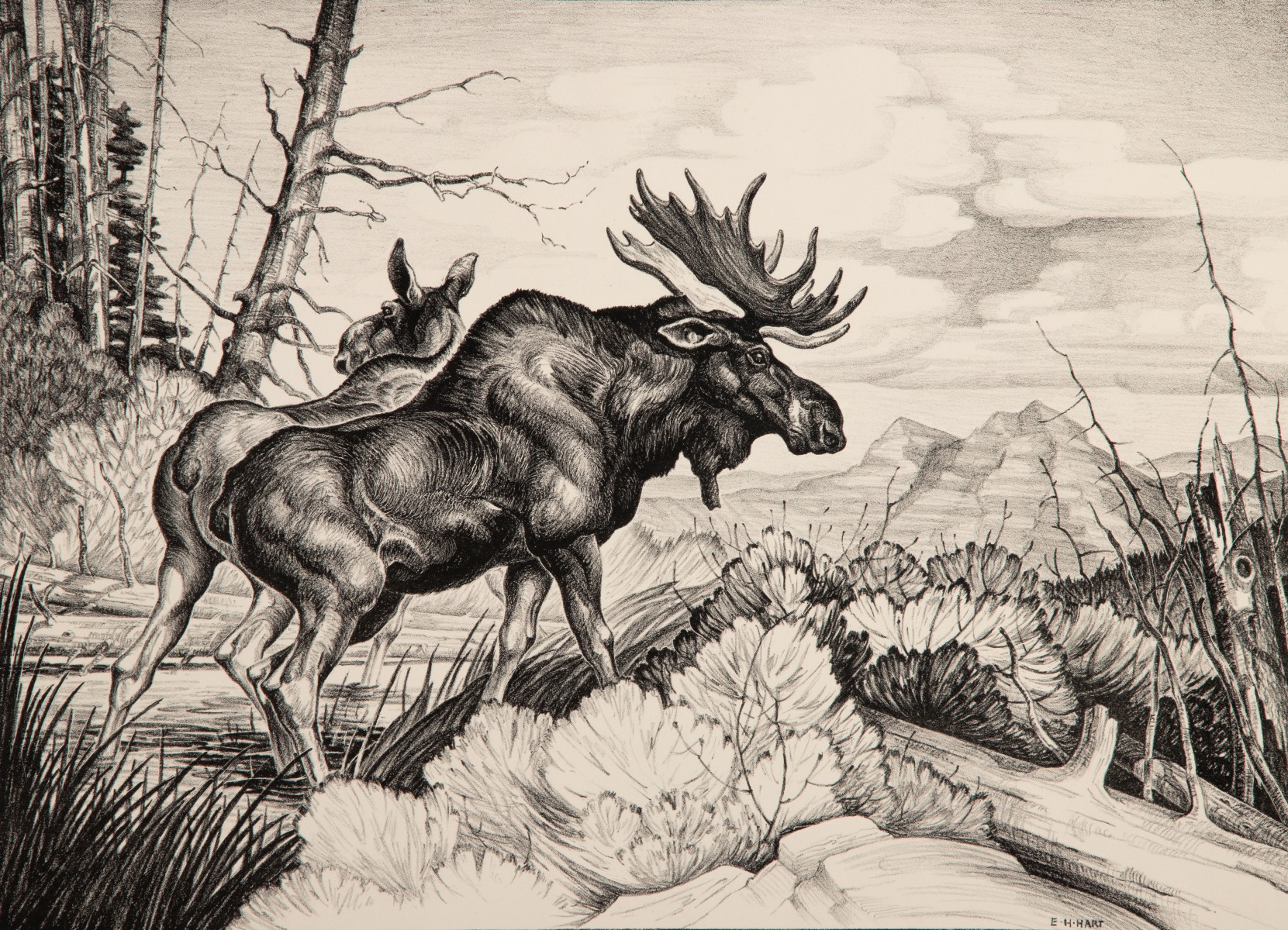 MELVILLE WIRE, ERNEST HART, RUSSELL SHERMAN AAA PRINTS