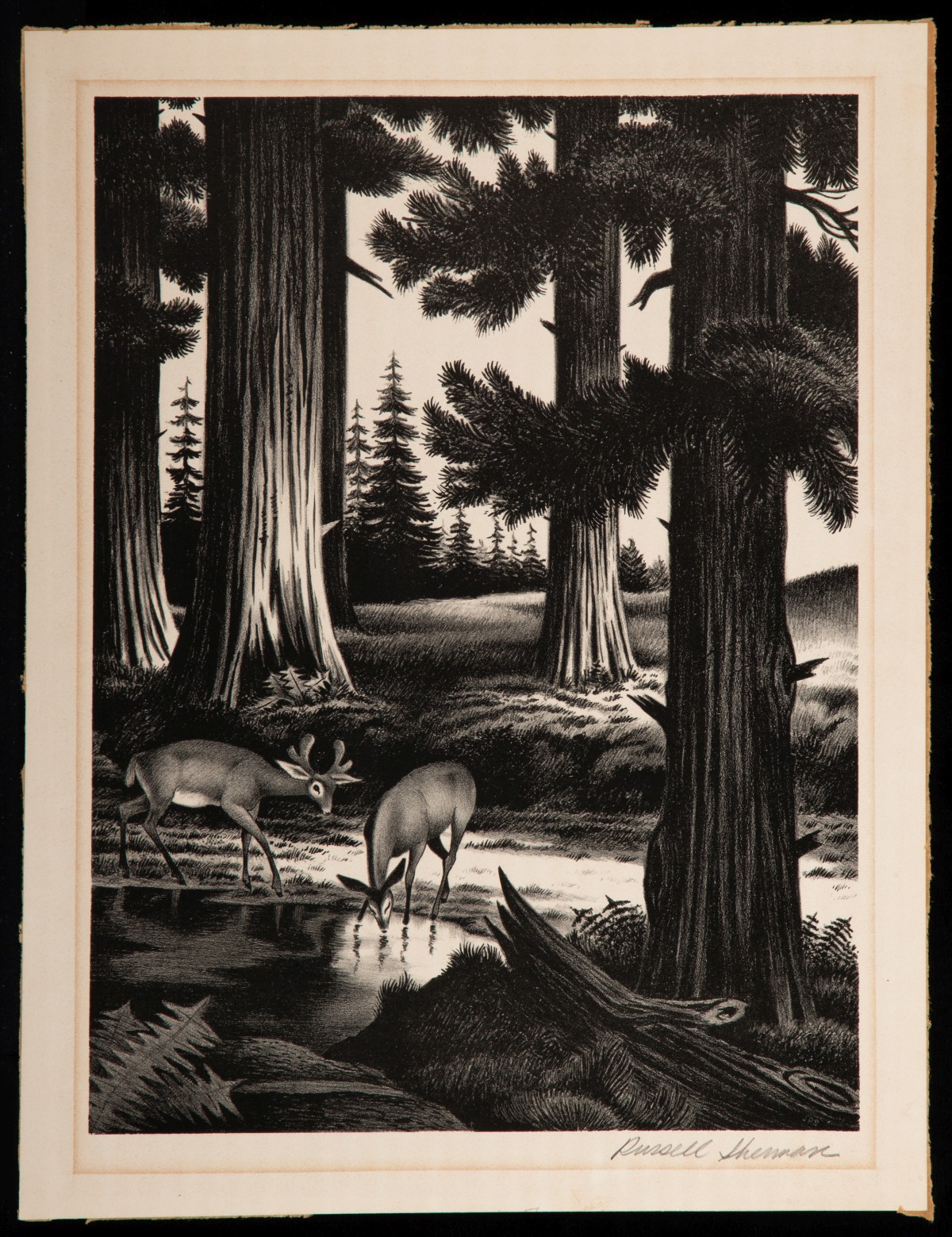 MELVILLE WIRE, ERNEST HART, RUSSELL SHERMAN AAA PRINTS