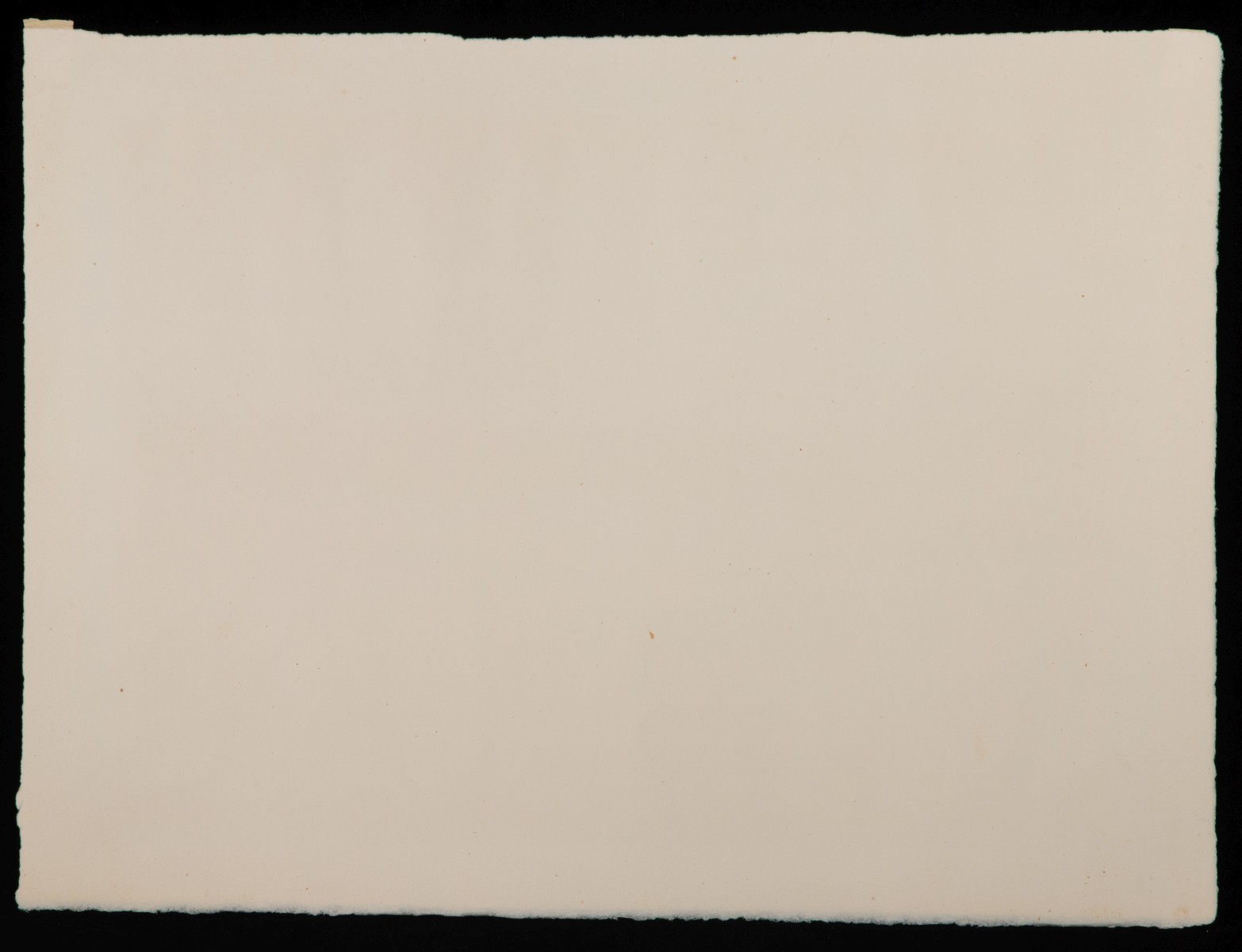 P. CHENEY | G. SCHREIBER | S. MARGOLIES | 5 AAA PRINTS