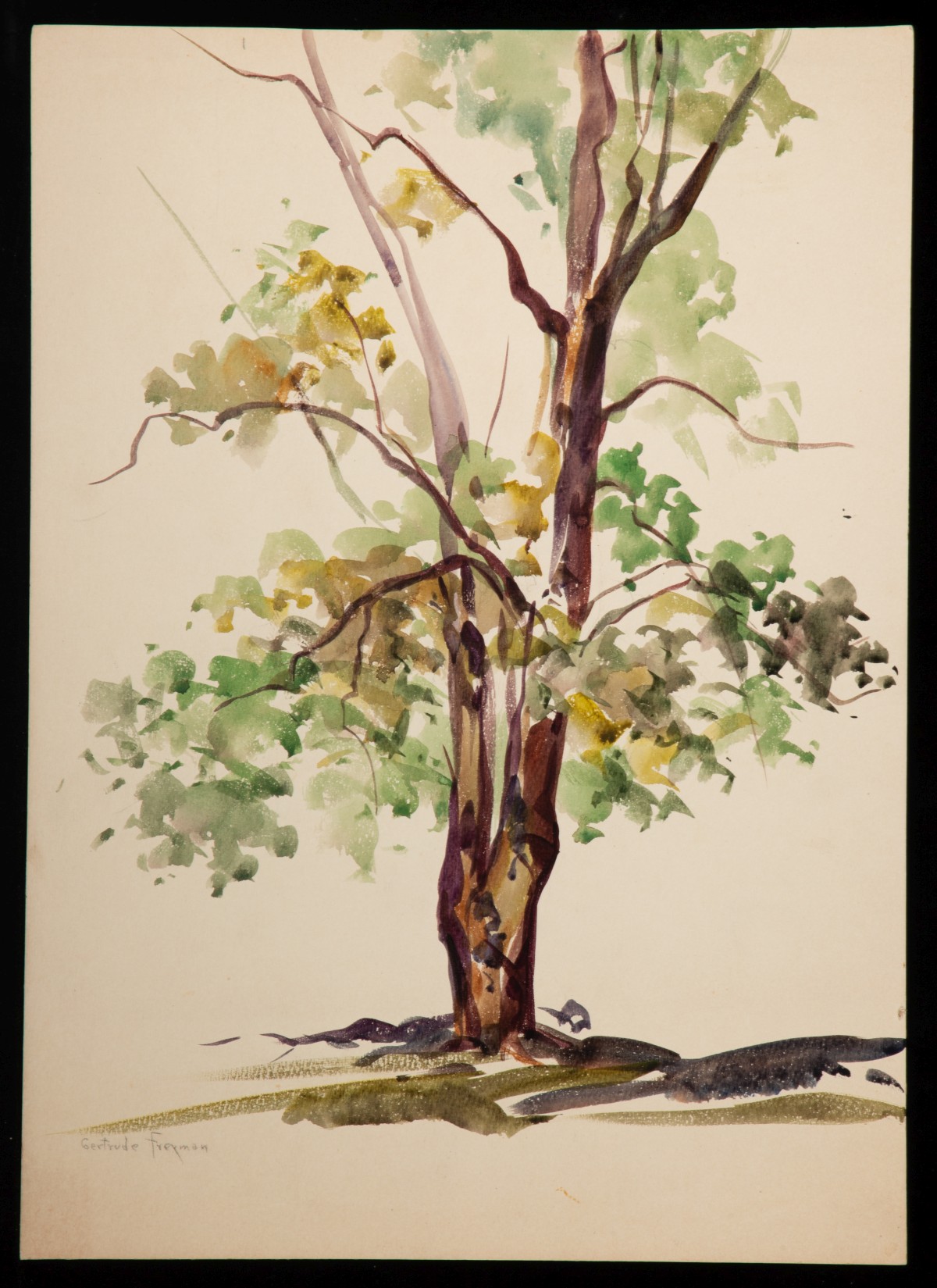 GERTRUDE FREYMAN (1901-1994) SIX PAINTINGS