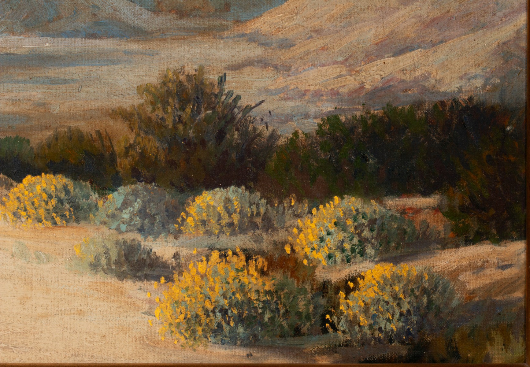 CARL SAMMONS (1883-1968) SAN JACINTO MTN CALIFORNIA