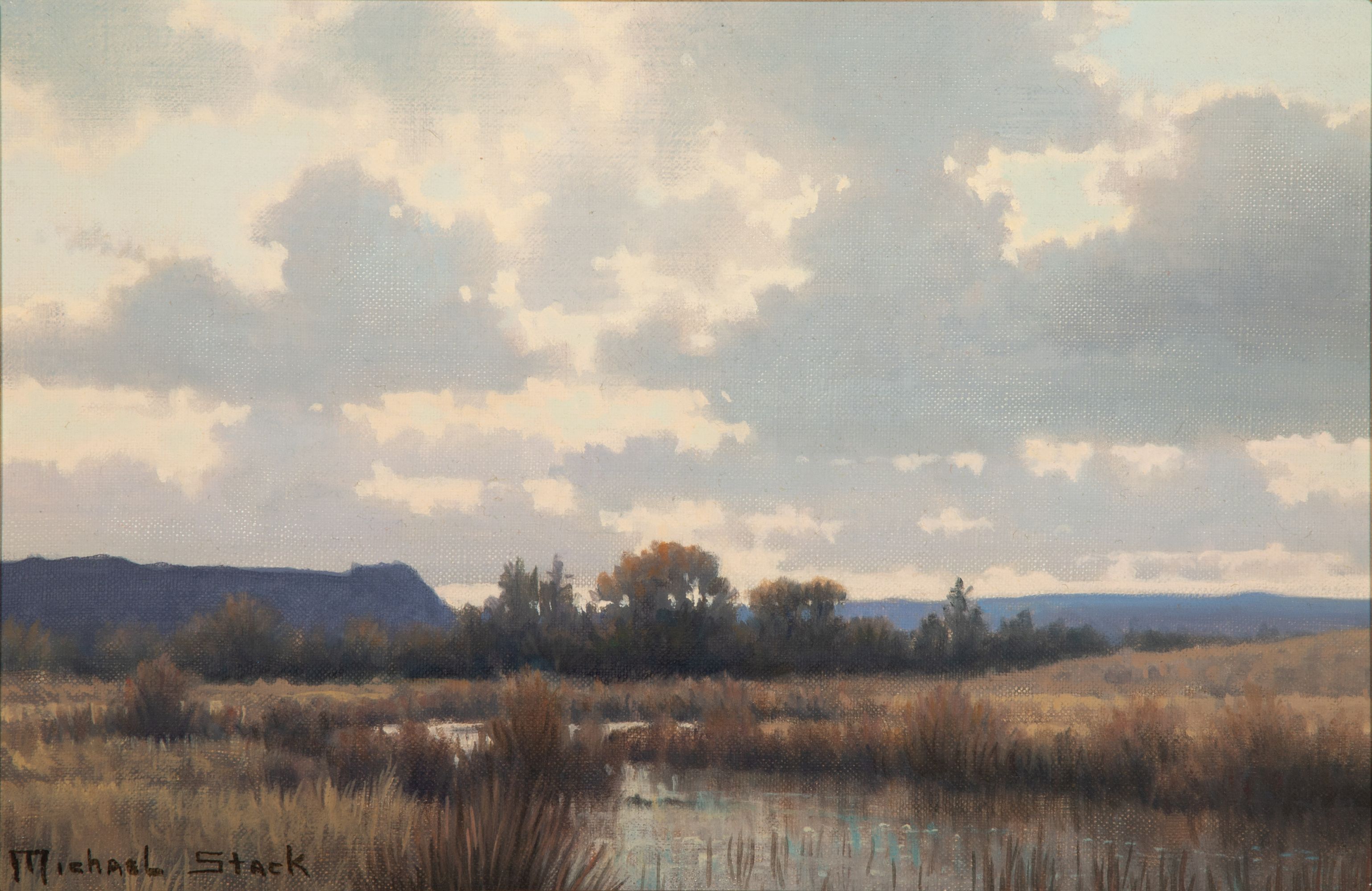 MICHAEL STACK (B. 1947) OIL ON CANVAS