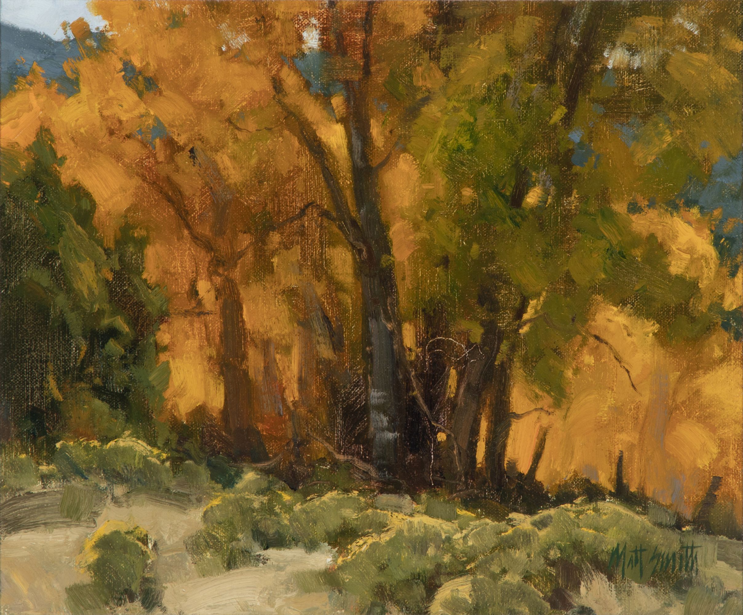 MATT SMITH (B. 1960) AUTUMN COTTONWOODS OIL ON PANEL