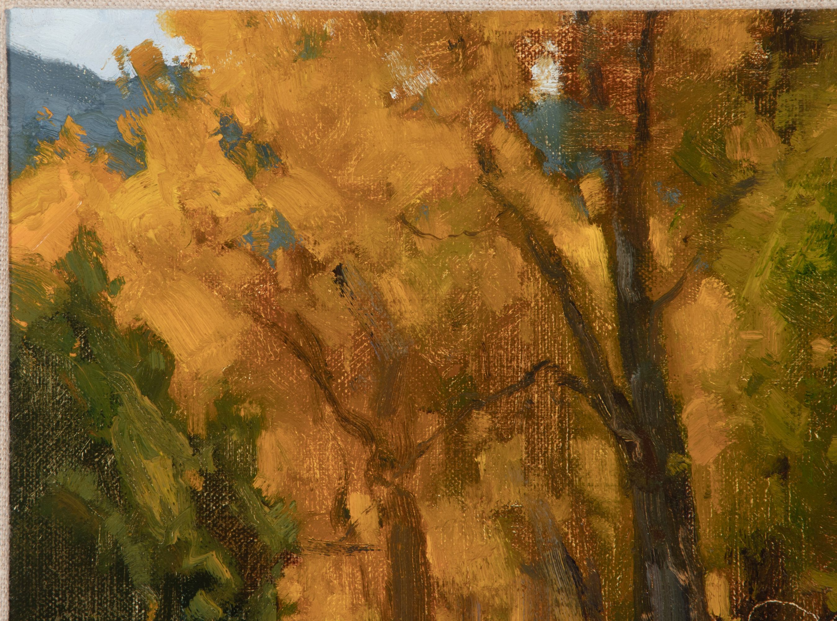 MATT SMITH (B. 1960) AUTUMN COTTONWOODS OIL ON PANEL