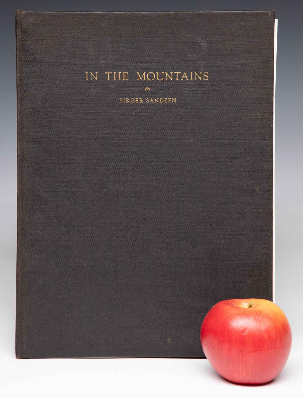 IN THE MOUNTAINS WITH LITHO SIGNED BY SANDZÉN AND WHITE