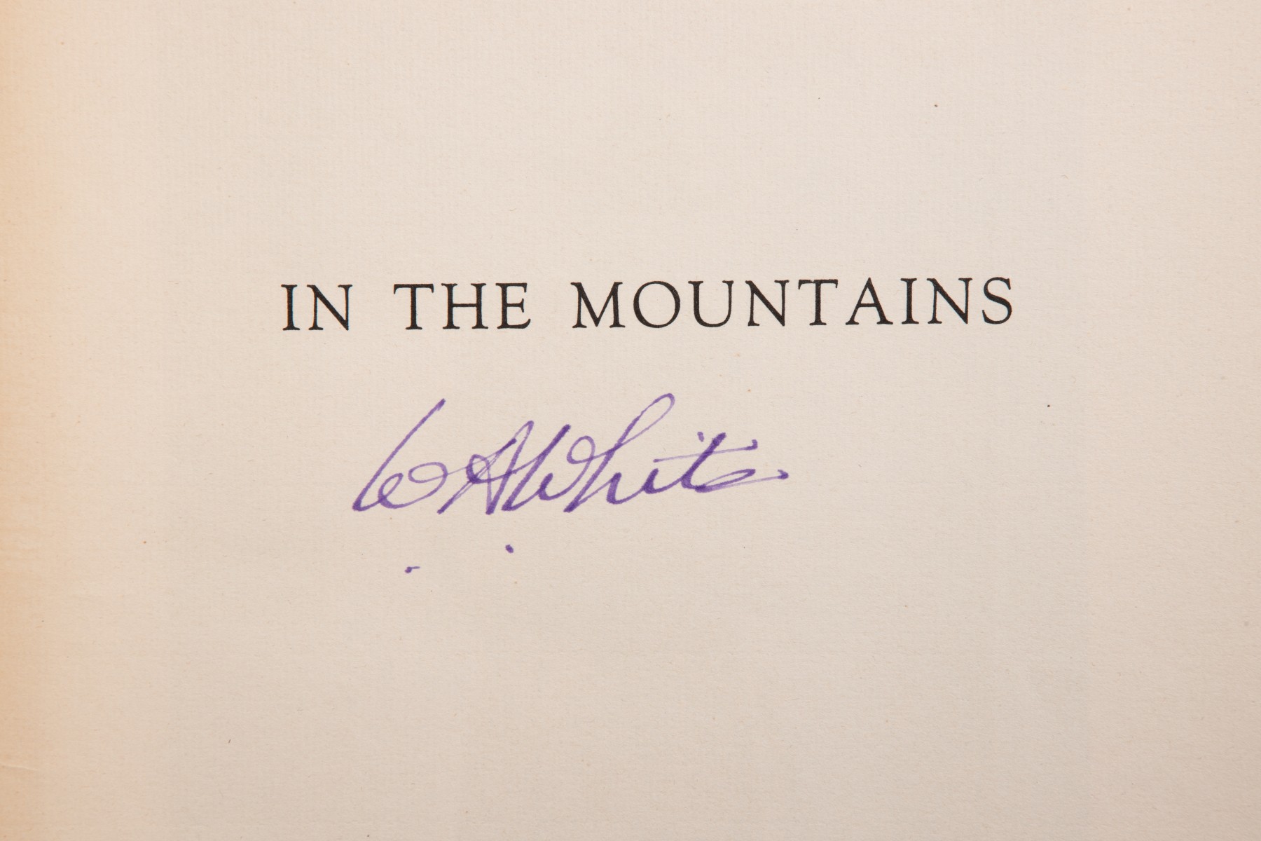 IN THE MOUNTAINS WITH LITHO SIGNED BY SANDZÉN AND WHITE