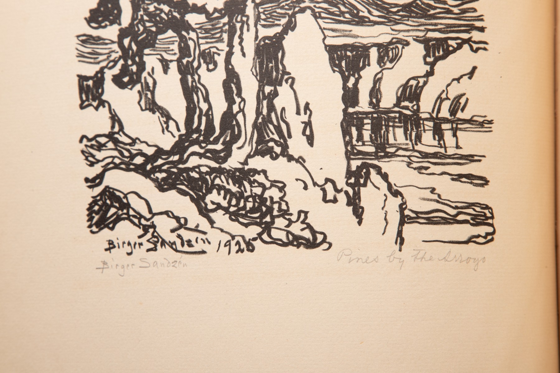 IN THE MOUNTAINS WITH LITHO SIGNED BY SANDZÉN AND WHITE