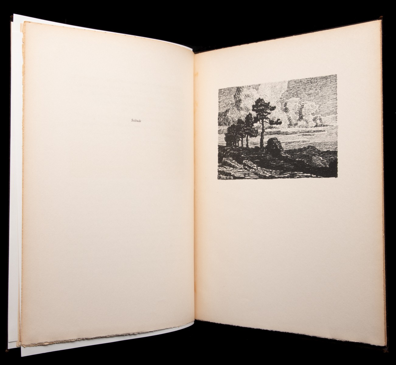 IN THE MOUNTAINS WITH LITHO SIGNED BY SANDZÉN AND WHITE