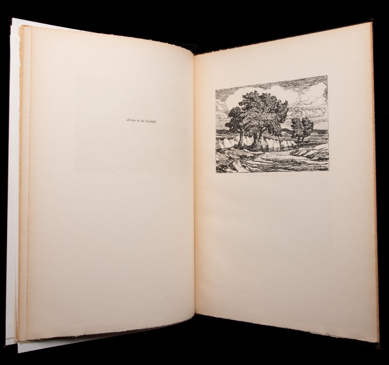 IN THE MOUNTAINS WITH LITHO SIGNED BY SANDZÉN AND WHITE