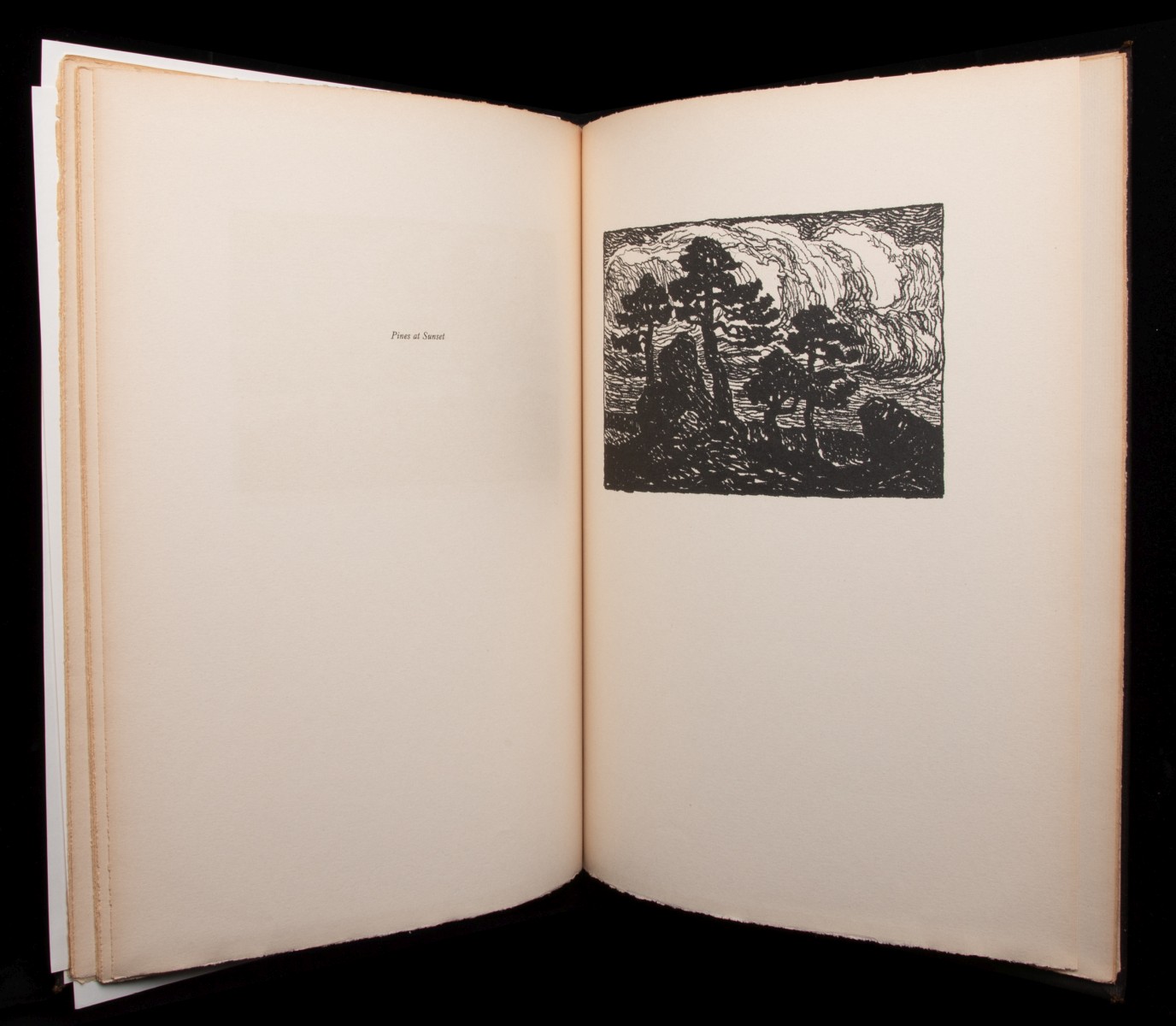 IN THE MOUNTAINS WITH LITHO SIGNED BY SANDZÉN AND WHITE