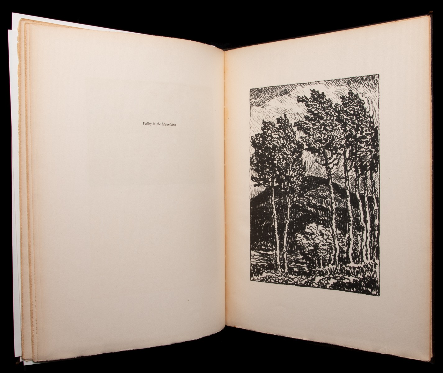IN THE MOUNTAINS WITH LITHO SIGNED BY SANDZÉN AND WHITE