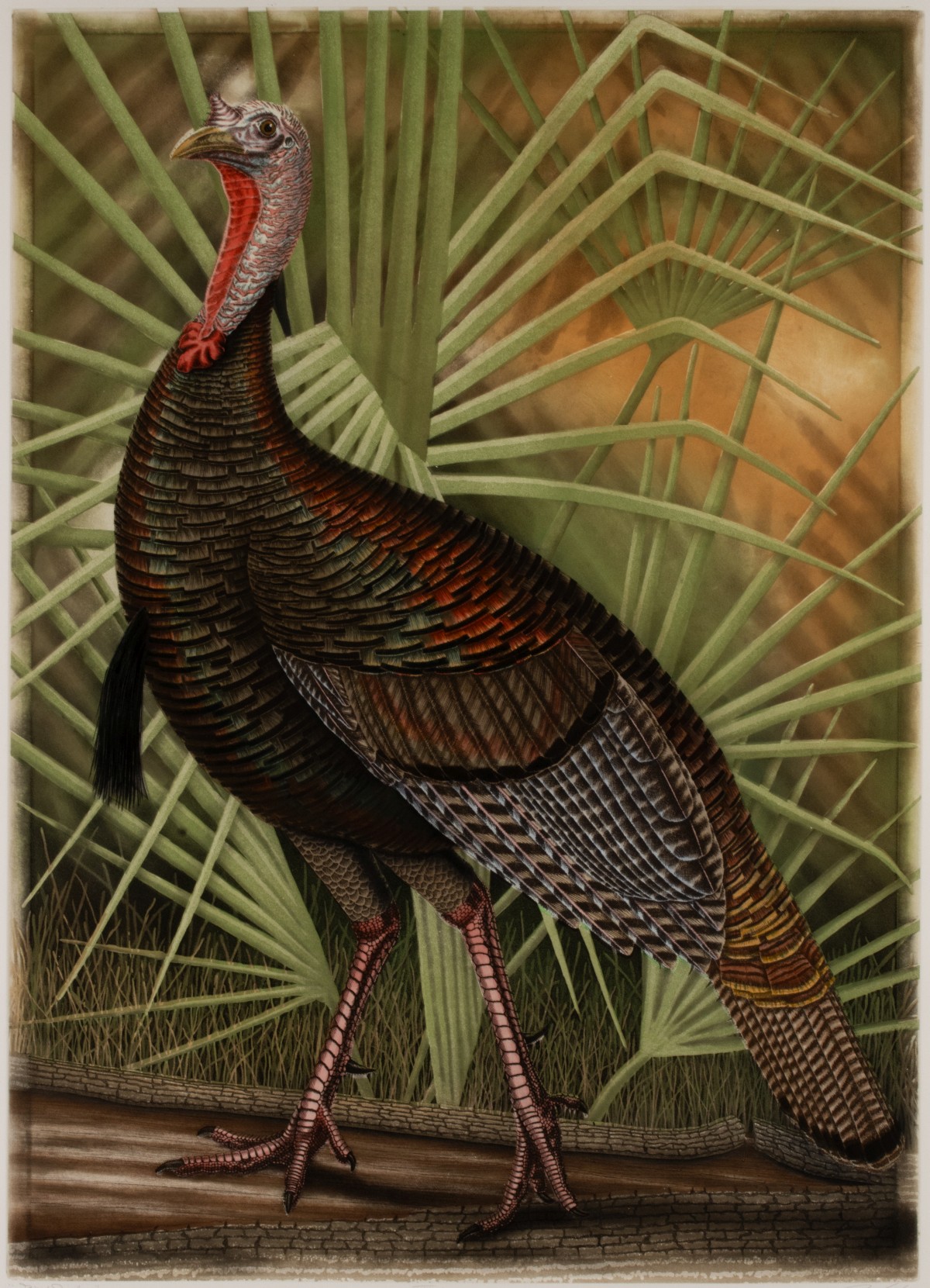 JOHN COSTIN (BORN 1956) ARTIST PROOF ETCHING WITH COLOR