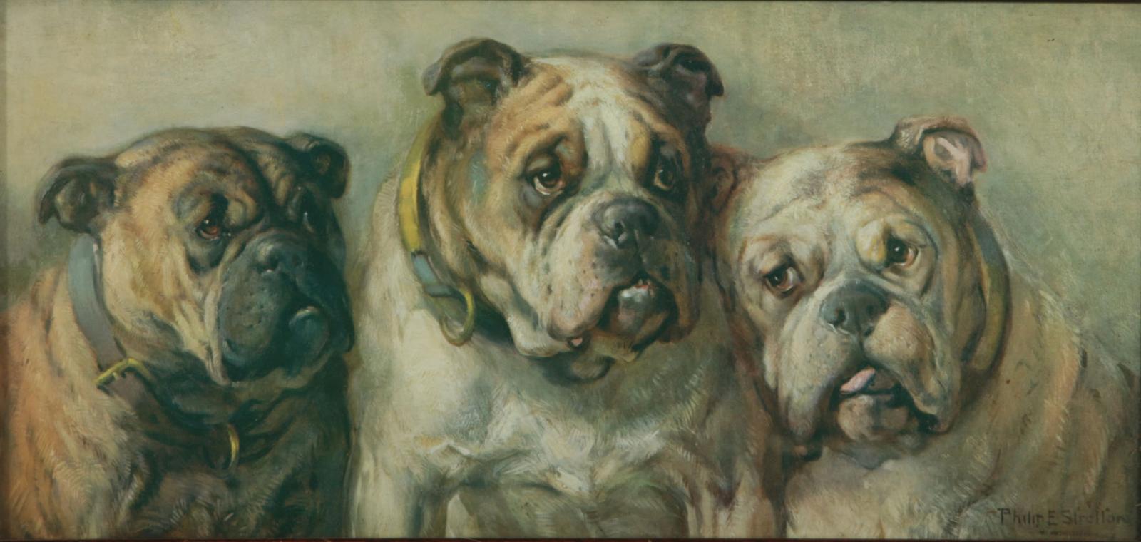 AFTER PHILIP EUSTACE STRETTON (1865-1919) 'BULLDOGS' 