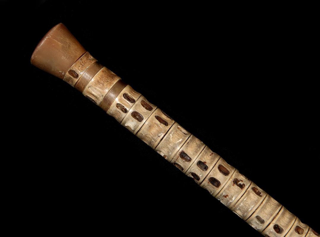 A 19TH CENTURY ANIMAL VERTEBRAE WALKING STICK